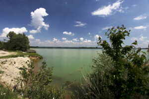 Přírodovědný průzkum štěrkovny Náklo odhalil výskyt ohrožených živočichů