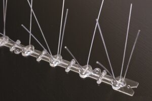 Hrotový systém chrání majetek před holuby i jiným ptactvem