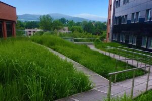 Kvartální analýza českého stavebnictví Q2/2017