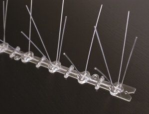 Hrotový systém chrání majetek před holuby i jiným ptactvem